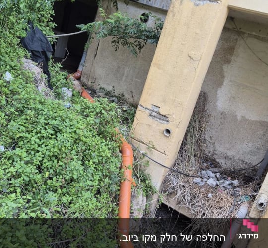 צינור כתום מותקן ליד מבנה עם צמחייה